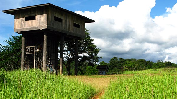 อุทยานแห่งชาติเขาใหญ่ อุทยานแห่งชาติเขาใหญ่
