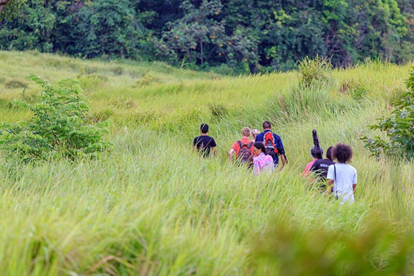 อุทยานแห่งชาติเขาใหญ่ อุทยานแห่งชาติเขาใหญ่