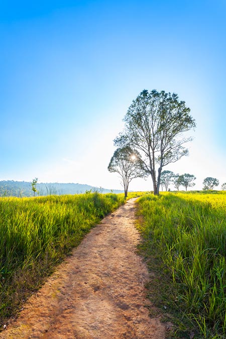 เขาใหญ่ เขาใหญ่