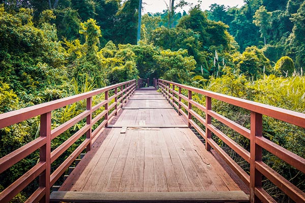 อุทยานแห่งชาติเขาใหญ่ อุทยานแห่งชาติเขาใหญ่