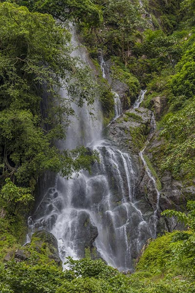 อุทยานแห่งชาติเขาใหญ่ อุทยานแห่งชาติเขาใหญ่