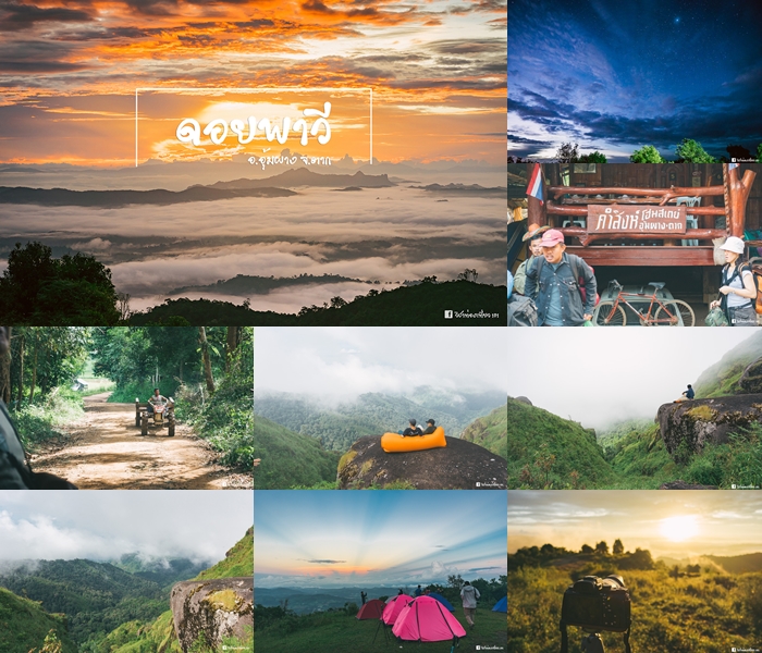ดอยพาวี ตาก ดอยพาวี ตาก