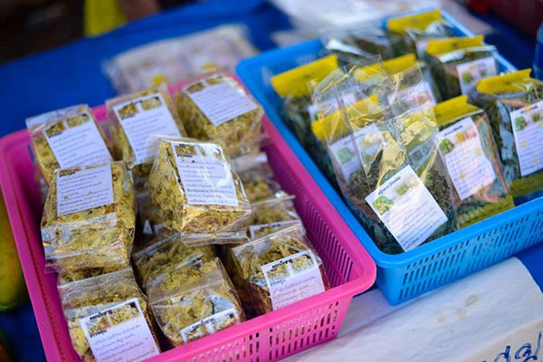 ทุ่งดอกเก๊กฮวย เชียงใหม่ ทุ่งดอกเก๊กฮวย เชียงใหม่