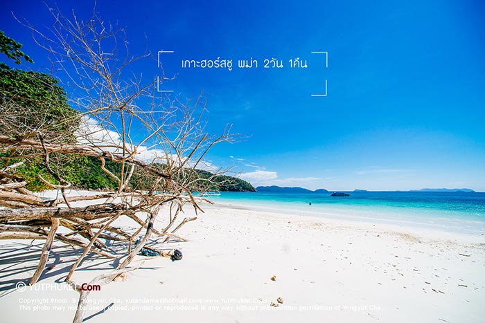 ทะเลพม่า ทะเลพม่า