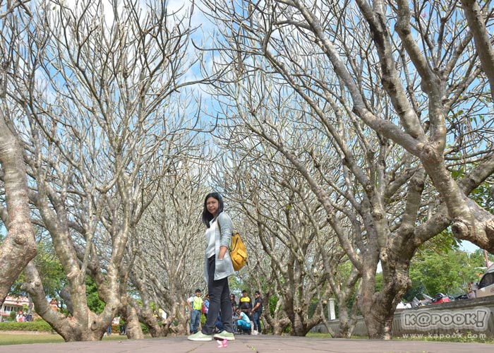 เที่ยวน่าน เที่ยวน่าน