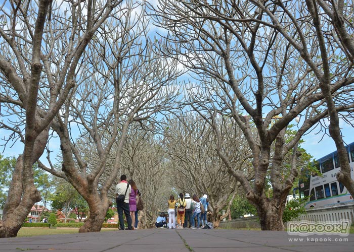 เที่ยวน่าน เที่ยวน่าน