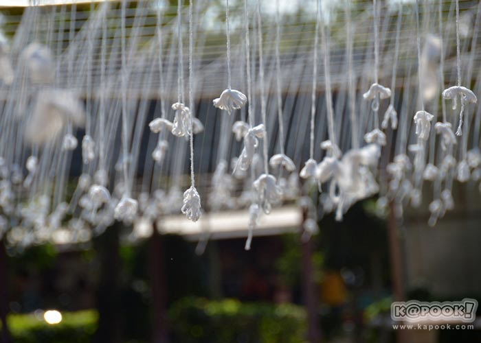 เที่ยวน่าน เที่ยวน่าน