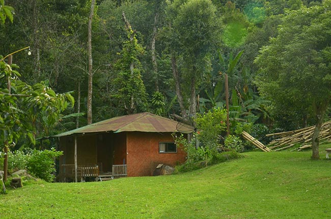 ที่พักดอยอินทนนท์ ที่พักดอยอินทนนท์