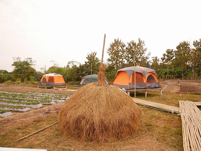 ที่พักดอยอินทนนท์ ที่พักดอยอินทนนท์