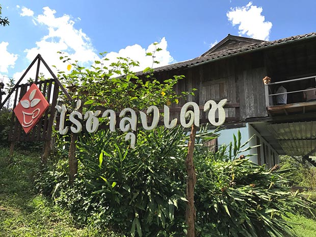 ไร่ชา ไร่ชา
