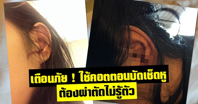 คอตตอน บัด cotton bud คอตตอน บัด cotton bud