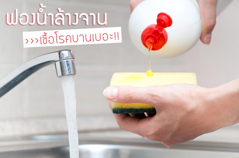 ฟองน้ำแหล่งเชื้อโรคในบ้าน ฟองน้ำแหล่งเชื้อโรคในบ้าน
