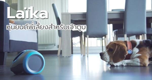 Laïka หุ่นยนต์พี่เลี้ยงสำหรับเจ้าตูบ Laïka หุ่นยนต์พี่เลี้ยงสำหรับเจ้าตูบ