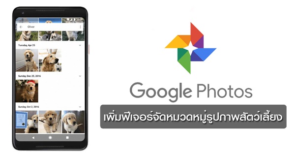 Google Photos Google Photos