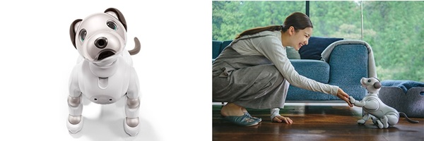 aibo หุ่นยนต์สุนัขแสนรู้ aibo หุ่นยนต์สุนัขแสนรู้