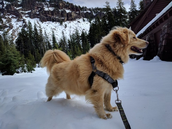 Google Photos Google Photos