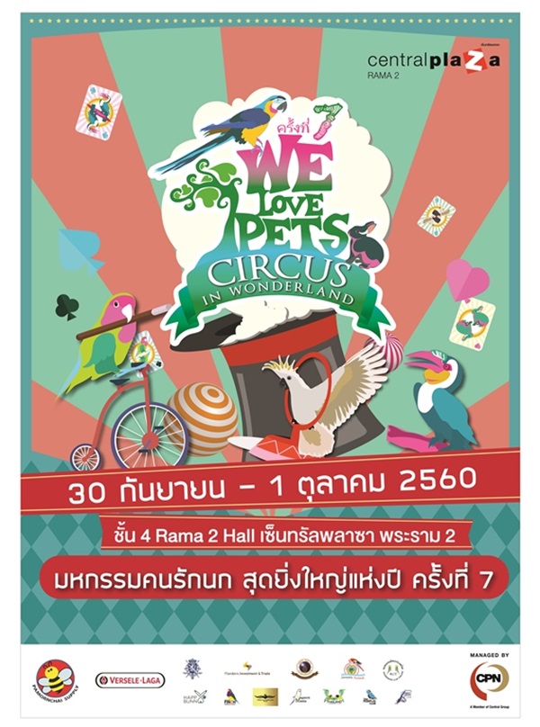 งานแสดงสัตว์เลี้ยง งานแสดงสัตว์เลี้ยง