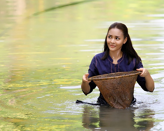 ปุ๊กลุก ฝนทิพย์ ปุ๊กลุก ฝนทิพย์