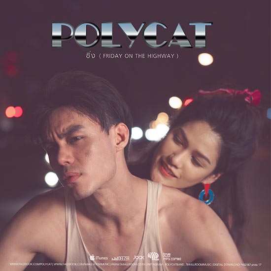 Polycat Polycat