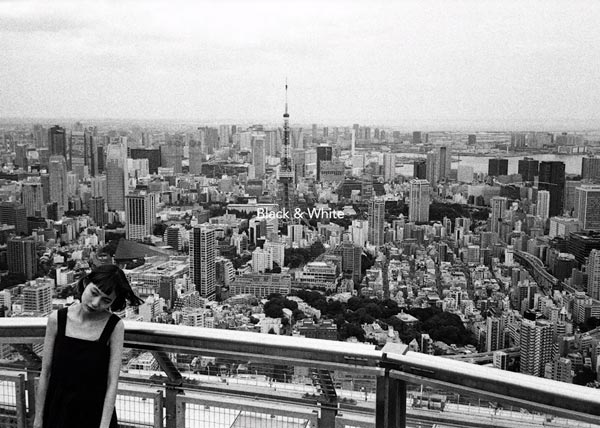 yashica yashica