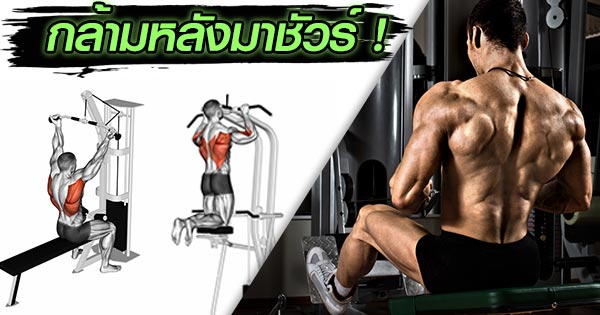 เครื่องออกกำลังกาย เครื่องออกกำลังกาย