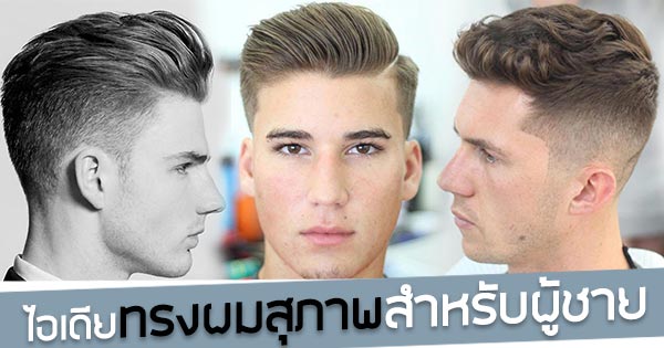 ทรงผมสุภาพ ทรงผมสุภาพ