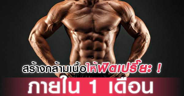 วิธีสร้างกล้ามเนื้อ วิธีสร้างกล้ามเนื้อ