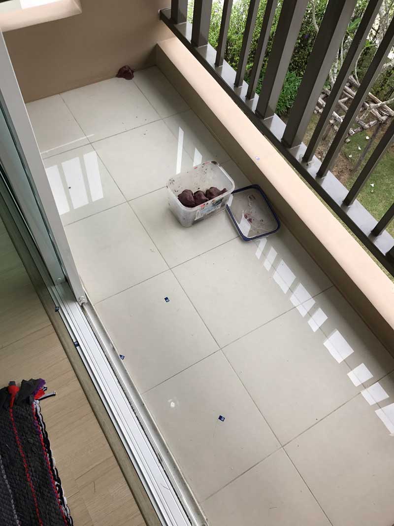 ซื้อบ้านเดี่ยว ซื้อบ้านเดี่ยว
