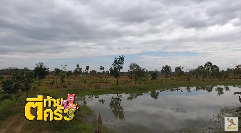 บ้าน ปอ ทฤษฎี บ้าน ปอ ทฤษฎี