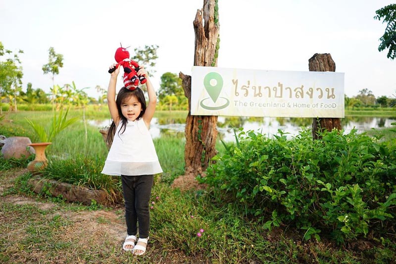 บ้าน ปอ ทฤษฎี บ้าน ปอ ทฤษฎี
