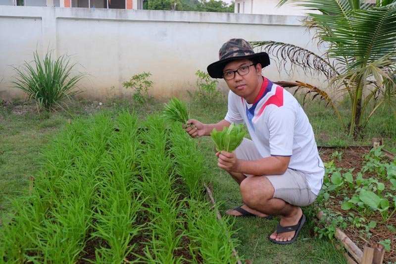 วิธีทำแปลงปลูกผักสวนครัว วิธีทำแปลงปลูกผักสวนครัว