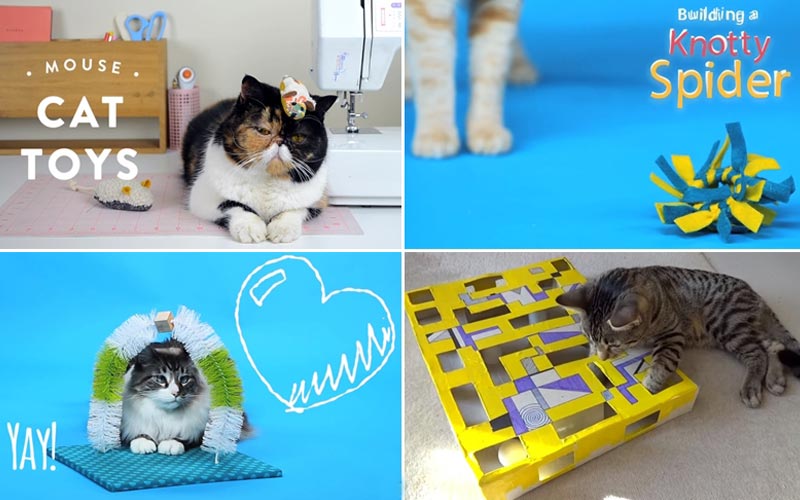 DIY ของเล่นแมว DIY ของเล่นแมว
