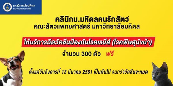 ฉีดวัคซีนพิษสุนัขบ้าฟรี ฉีดวัคซีนพิษสุนัขบ้าฟรี