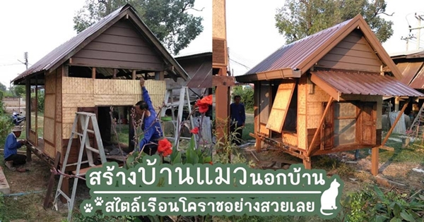 บ้านแมว บ้านแมว