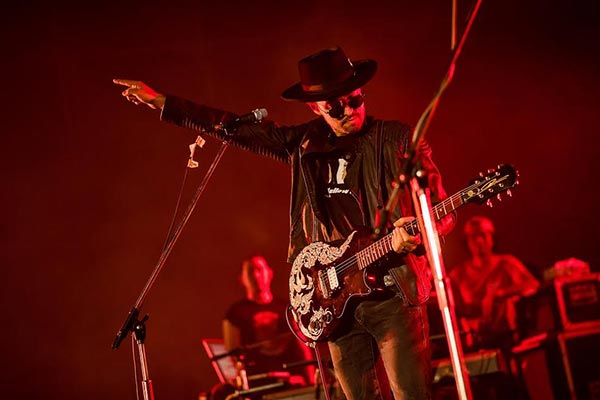 Cat T-Shirt 5 Cat T-Shirt 5