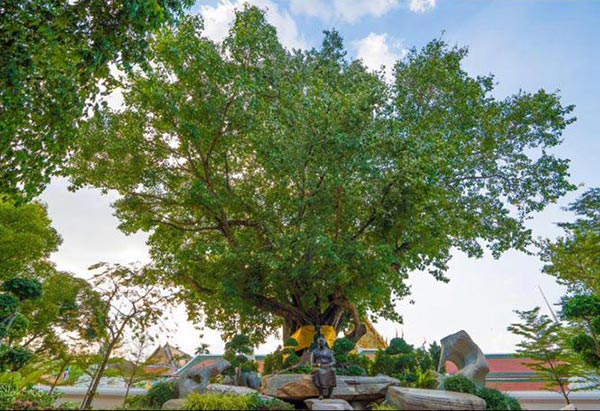 สงกรานต์ภูเขาทอง สงกรานต์ภูเขาทอง