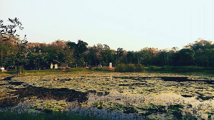 รวมสถานที่ปฏิบัติธรรม รวมสถานที่ปฏิบัติธรรม