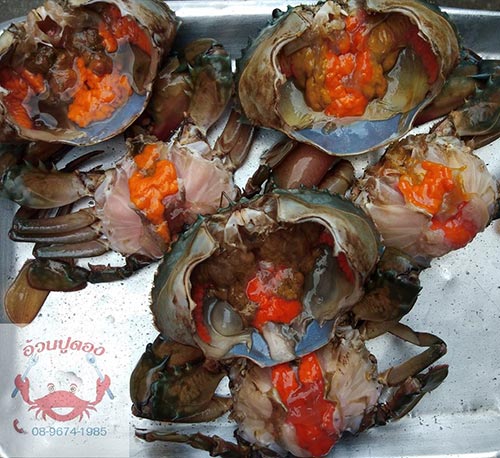 ปูไข่ดอง ปูไข่ดอง