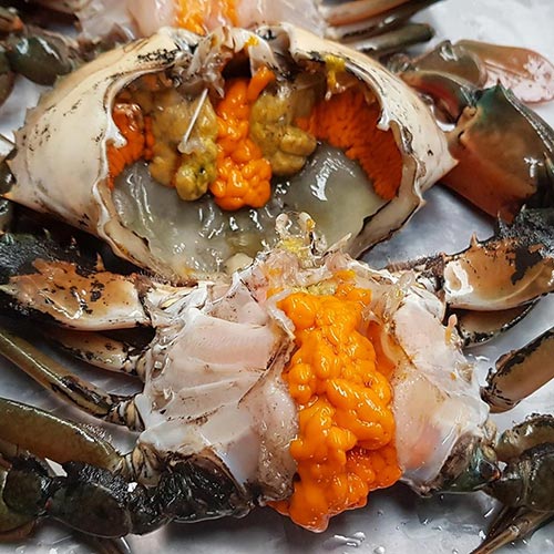 ปูไข่ดอง ปูไข่ดอง
