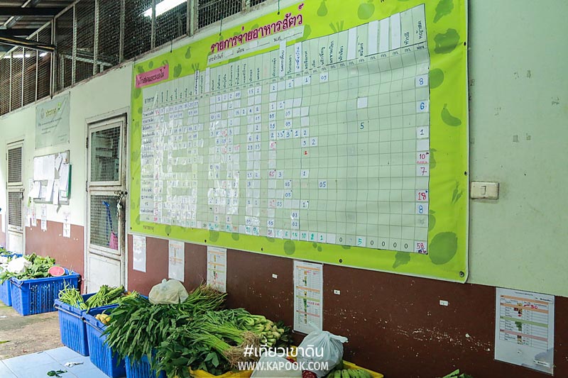 เส้นทางอาหารสัตว์ เส้นทางอาหารสัตว์