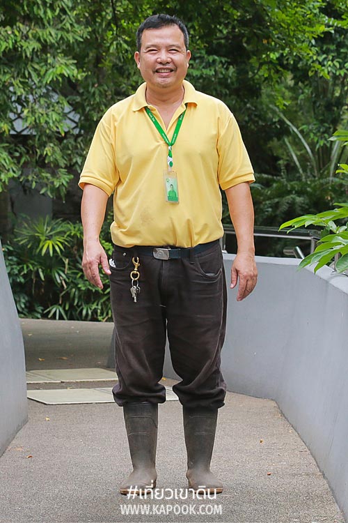 แม่มะลิ ฮิปโปโปเตมัส แม่มะลิ ฮิปโปโปเตมัส
