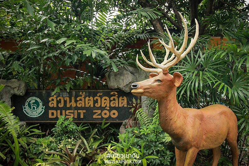 8 เรื่องน่ารู้เขาดิน 8 เรื่องน่ารู้เขาดิน