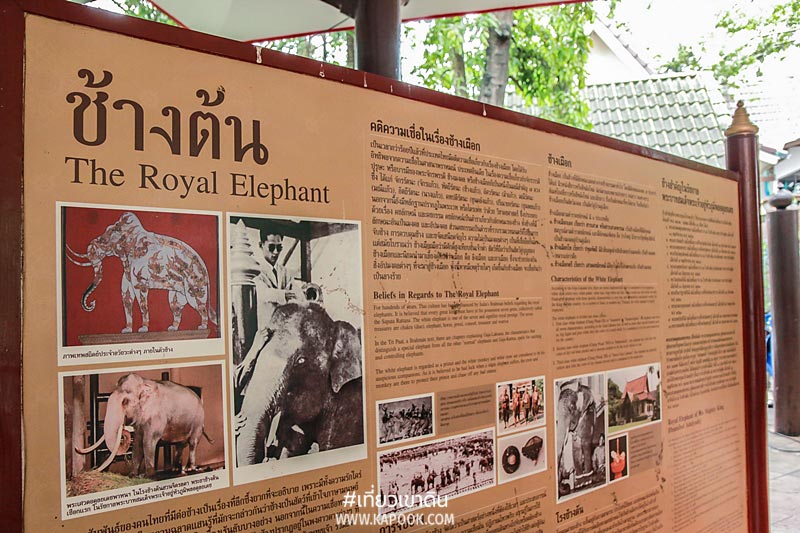 8 เรื่องน่ารู้เขาดิน 8 เรื่องน่ารู้เขาดิน