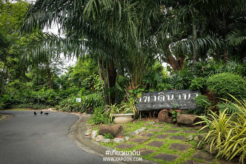 8 เรื่องน่ารู้เขาดิน 8 เรื่องน่ารู้เขาดิน