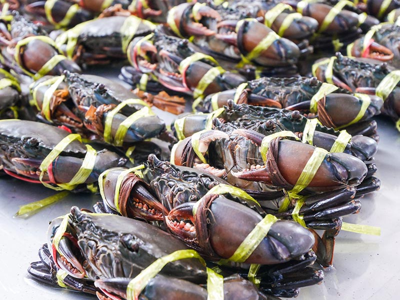 ตลาดน่าเดินทั่วไทย ตลาดน่าเดินทั่วไทย
