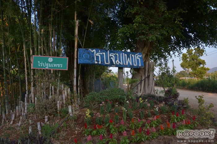 เที่ยวพบพระ เที่ยวพบพระ
