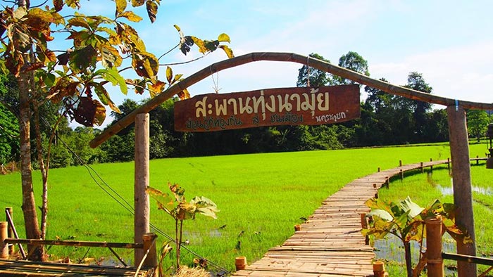 เที่ยววันหยุดใกล้กรุงเทพฯ เที่ยววันหยุดใกล้กรุงเทพฯ