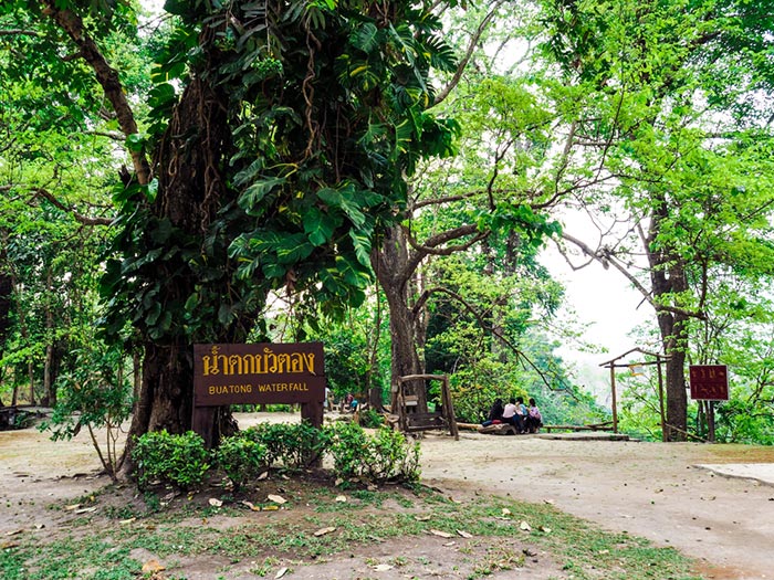 น้ำตกบัวตอง เชียงใหม่ น้ำตกบัวตอง เชียงใหม่