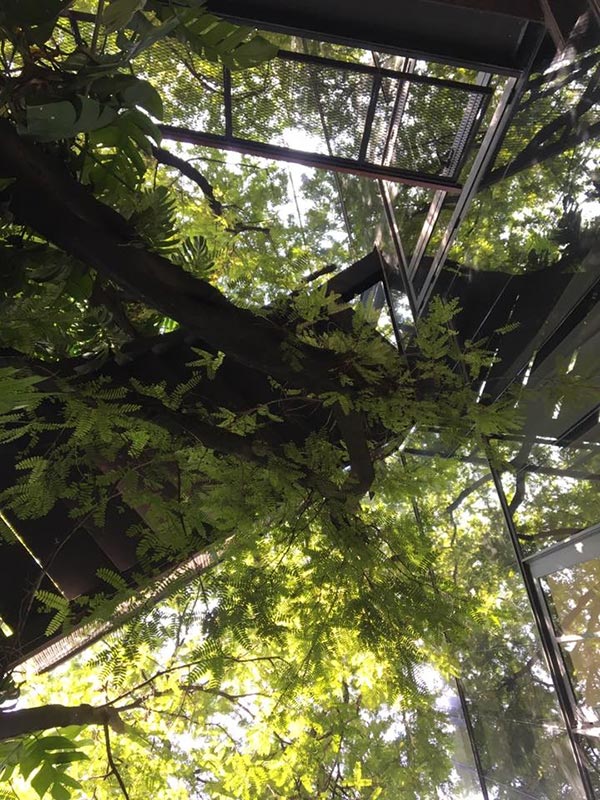 ร้านกาแฟบรรยากาศธรรมชาติ ร้านกาแฟบรรยากาศธรรมชาติ