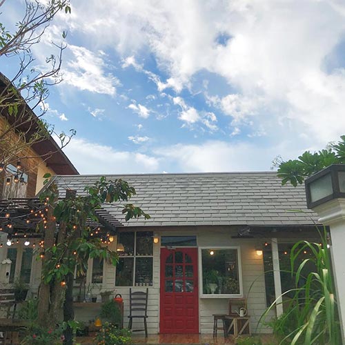 ร้านกาแฟอุดรธานี Under the Tree